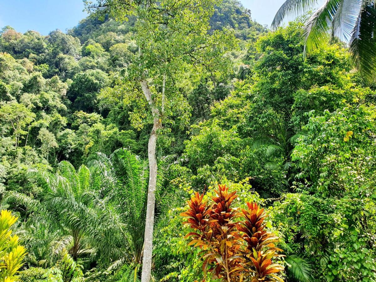 Khao Sok Silver Cliff Resort Khao Sok National Park Ruang foto