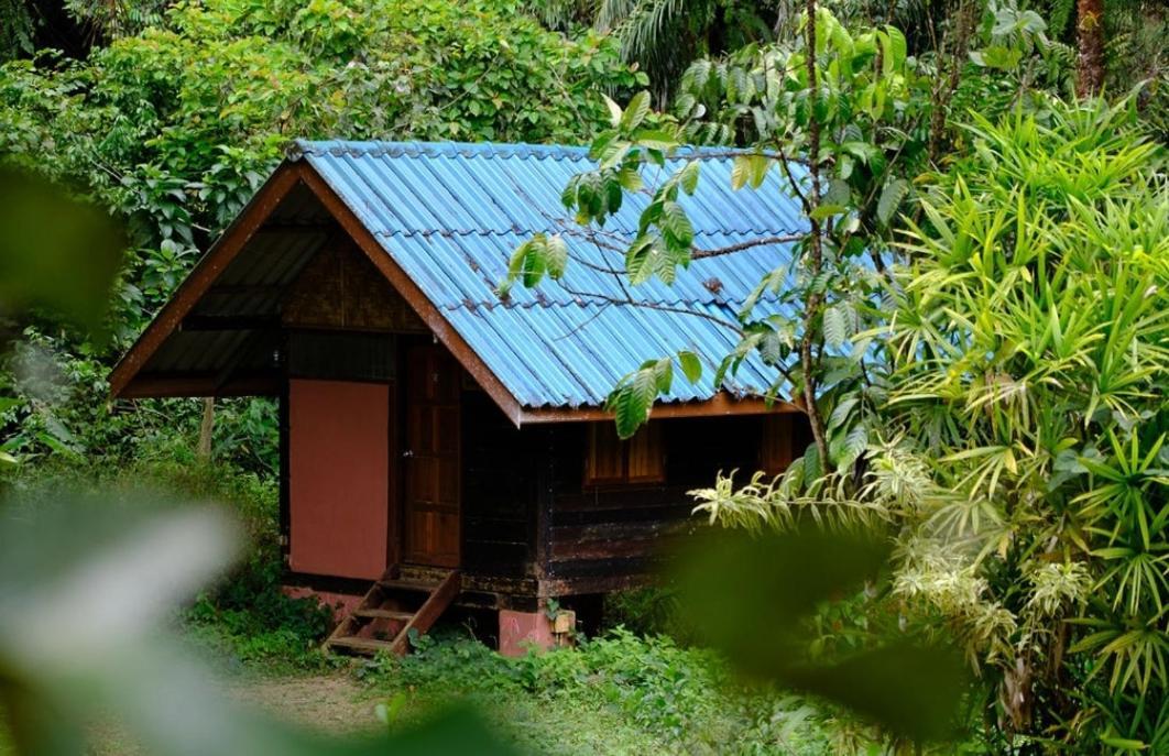 Khao Sok Silver Cliff Resort Khao Sok National Park Bagian luar foto