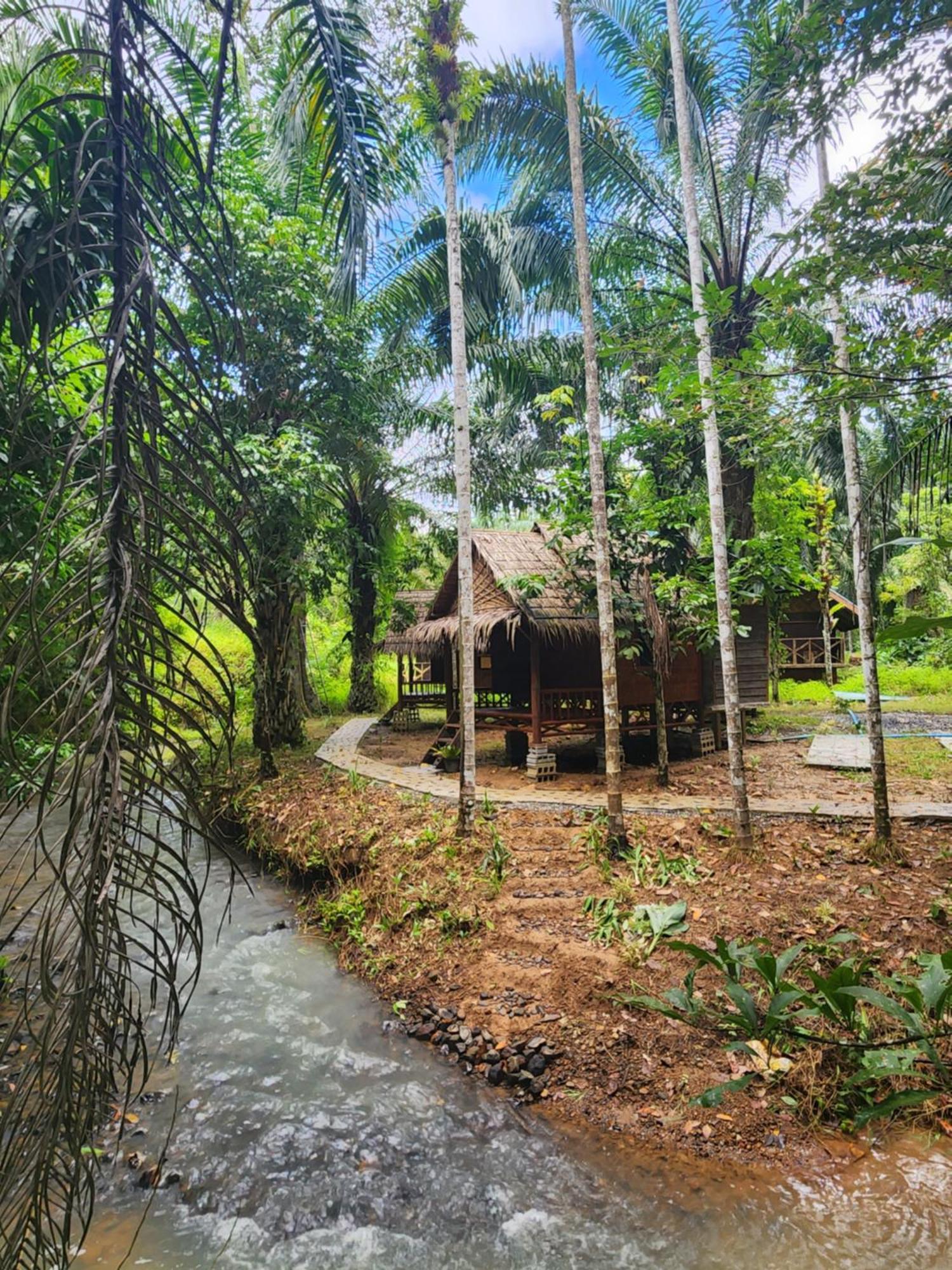Khao Sok Silver Cliff Resort Khao Sok National Park Ruang foto