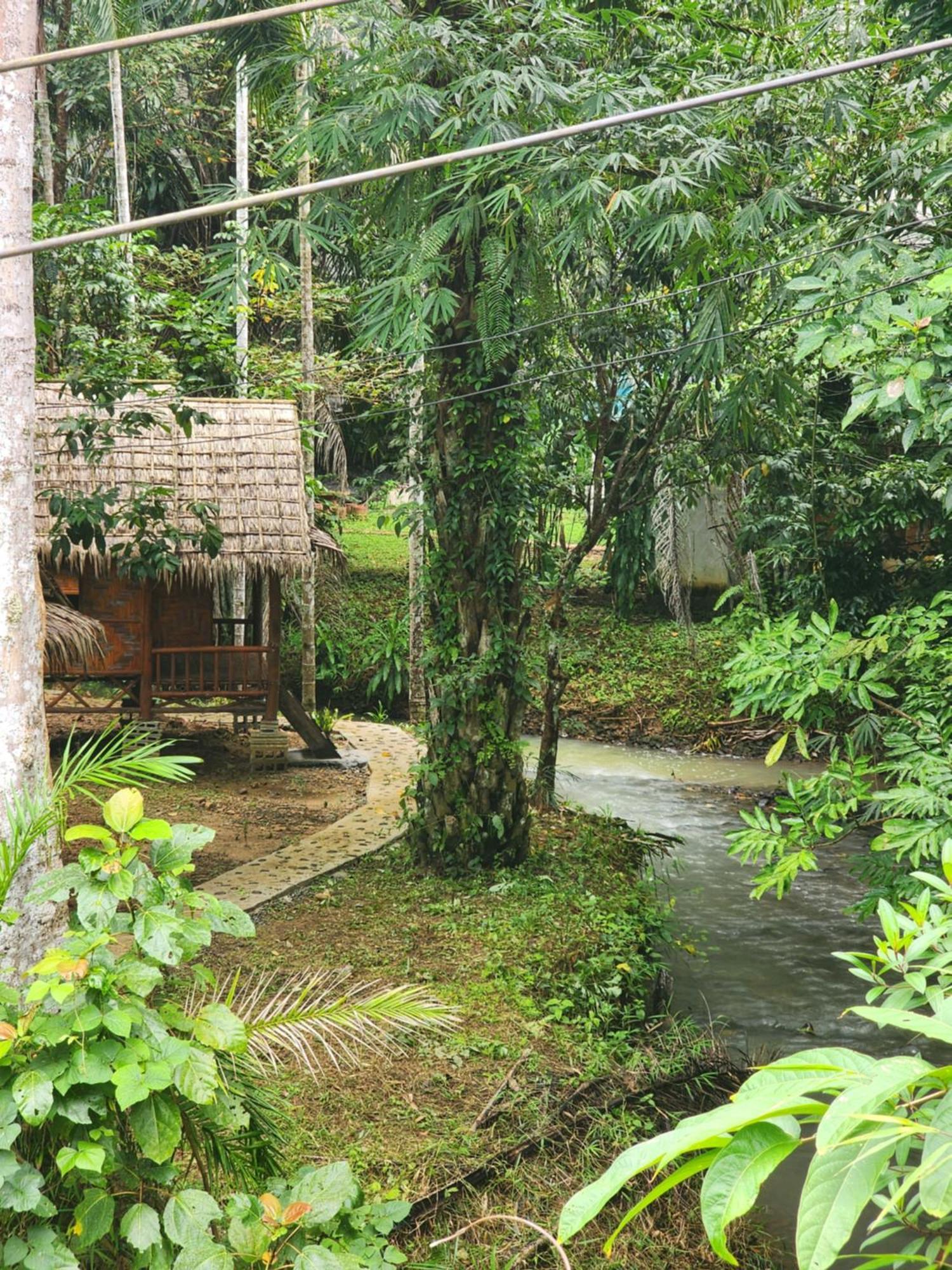 Khao Sok Silver Cliff Resort Khao Sok National Park Ruang foto