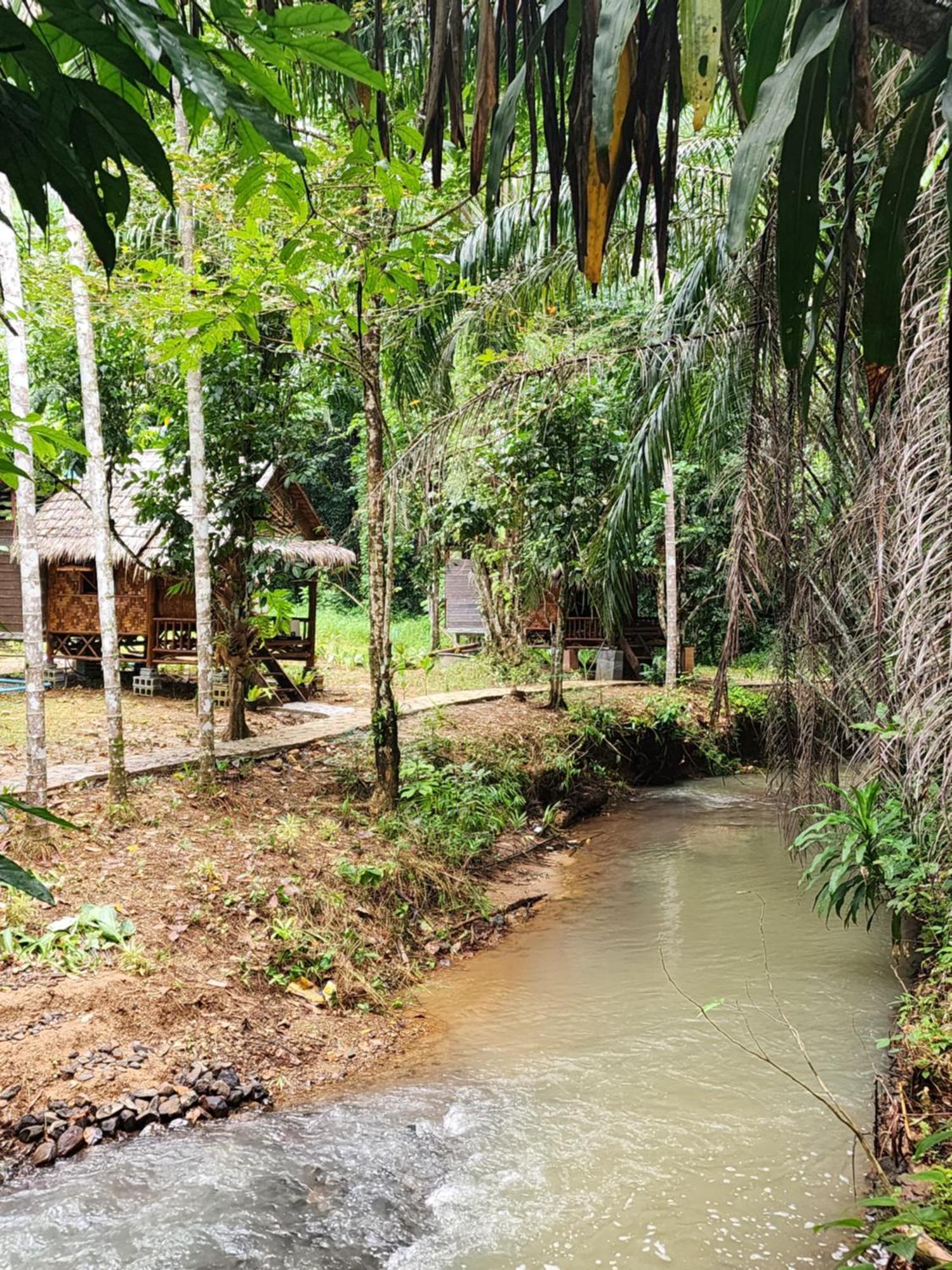 Khao Sok Silver Cliff Resort Khao Sok National Park Ruang foto