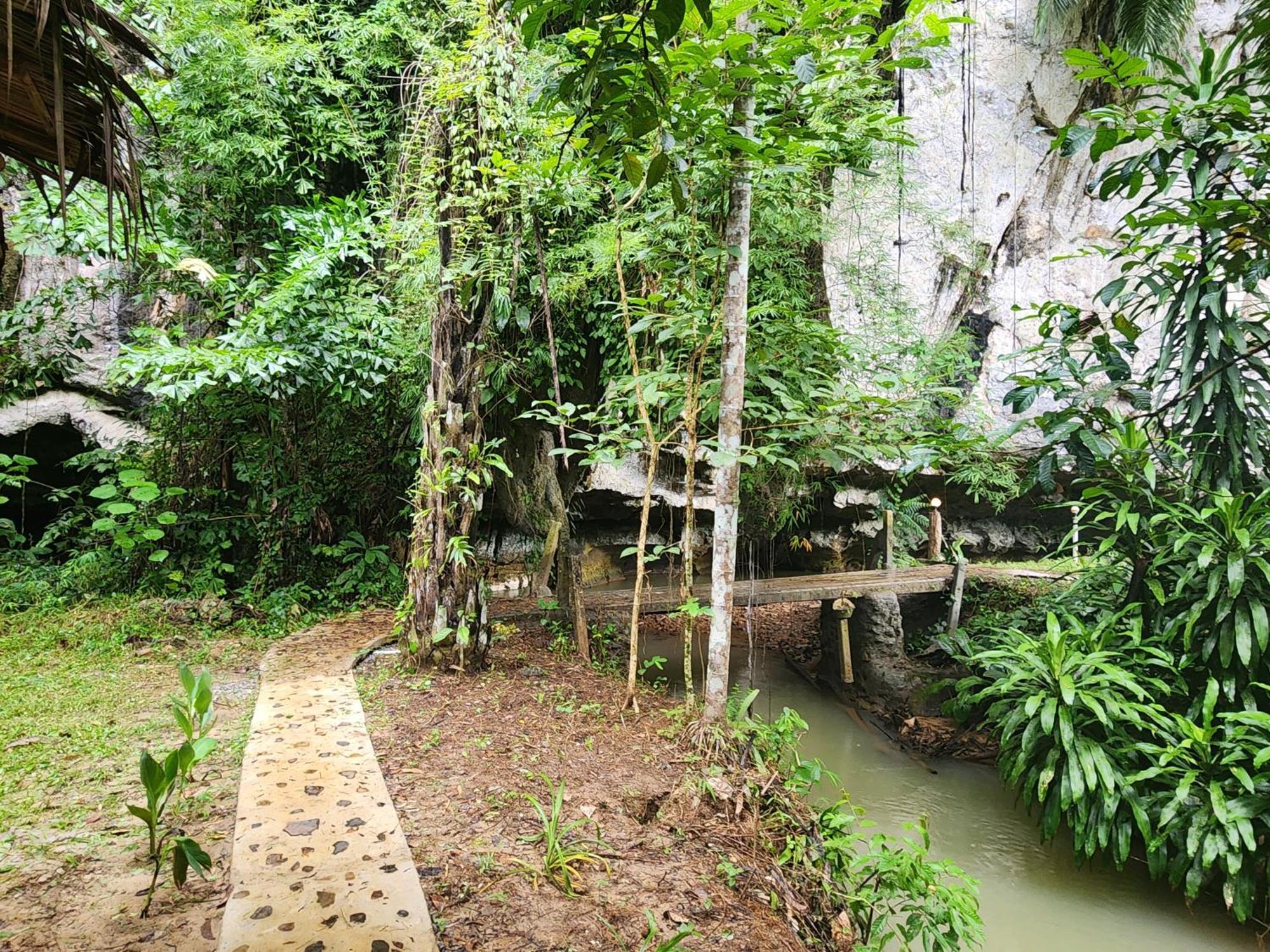 Khao Sok Silver Cliff Resort Khao Sok National Park Ruang foto