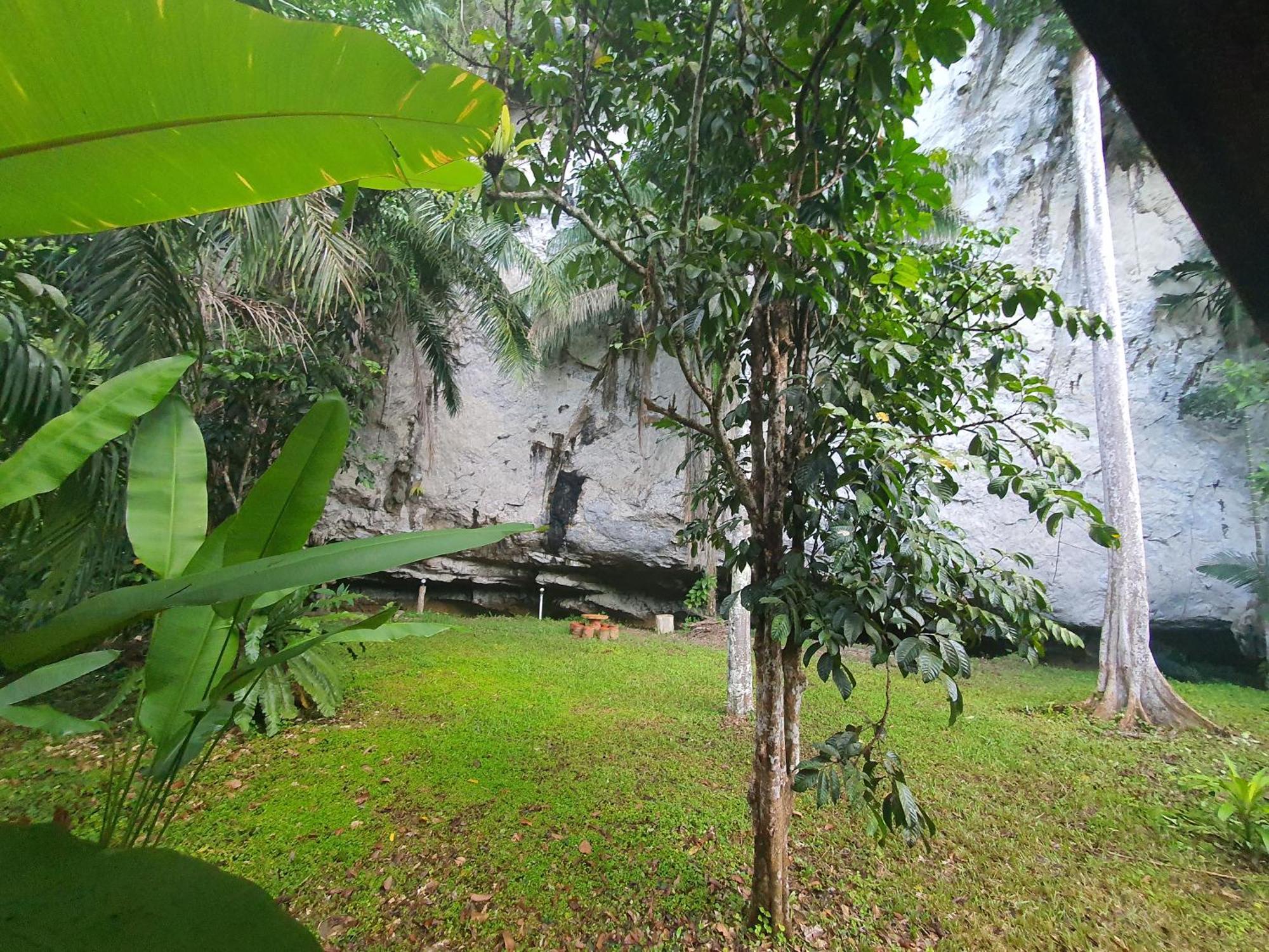 Khao Sok Silver Cliff Resort Khao Sok National Park Ruang foto